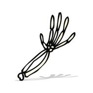 cartoon skeleton arm N7