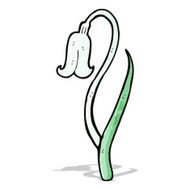 cartoon snowdrop