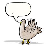 Cartoon Pigeon N12