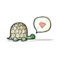 Cartoon Tortoise N23