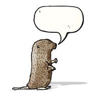 beaver illustration