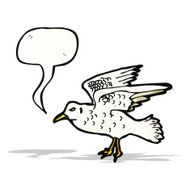 Cartoon Seagull N5