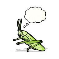 Cartoon Grasshopper N6