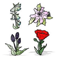 flowers illustration N8