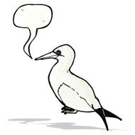 Cartoon Seagull N6