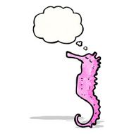 Cartoon Seahorse N24