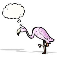 Cartoon Flamingo N11