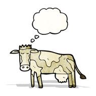 Cartoon Cow N48