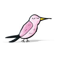 Cartoon Bird N85