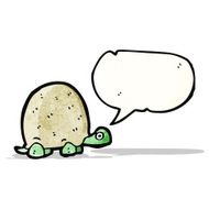 Cartoon Tortoise N26