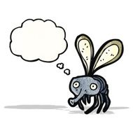 Cartoon Fly N22