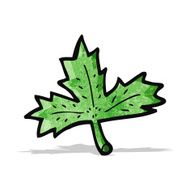 Cartoon Leaf N47
