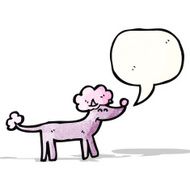 Cartoon Poodle N23
