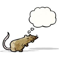 cartoon rat with thought bubble N8
