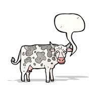 Cartoon Cow N52