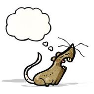 cartoon rat with thought bubble N9