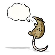 cartoon rat with thought bubble N12