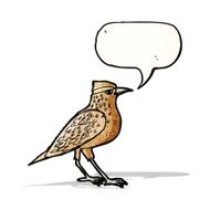 bird illustration with speech bubble