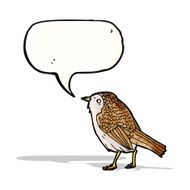 bird illustration with speech bubble N2