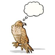 Cartoon Hawk N10