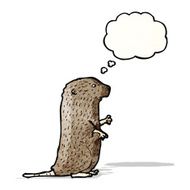 Cartoon Beaver N30