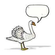 swan illustration