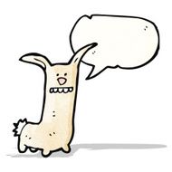 cartoon crazy rabbit N2