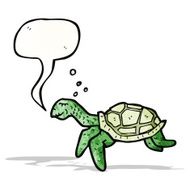 Cartoon Turtle N28