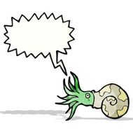 Nautilus Squid Cartoon N4