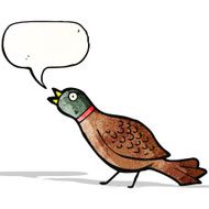 cartoon pheasant