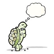Cartoon Tortoise N28
