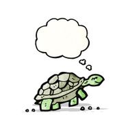 Cartoon Tortoise N29
