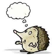 Cartoon Hedgehog N20