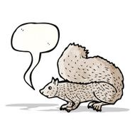 Squirrel Illustration N2