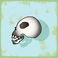 halloween cartoon skull N2