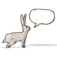 hare illustration