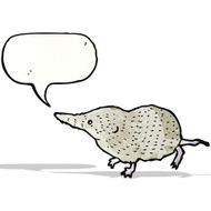 cute shrew illustration