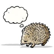 hedgehog illustration N2