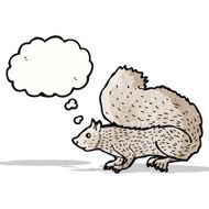 Cartoon Squirrel N37