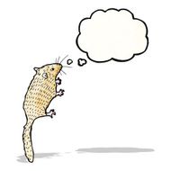 field mouse illustration