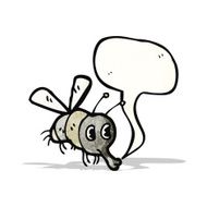 Cartoon Fly N24