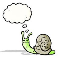 Cartoon Snail N52
