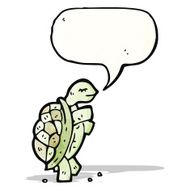 Cartoon Tortoise N30