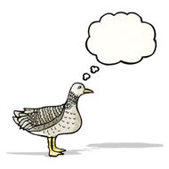 bird with thought bubble