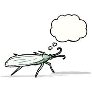 insect illustration N3