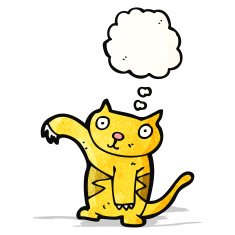 cartoon cat with thought bubble N52