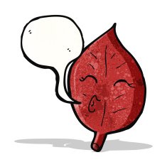 cartoon leaf with speech bubble N4