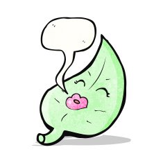 cartoon leaf with speech bubble N7