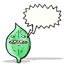 cartoon leaf with speech bubble N10