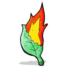 cartoon burning leaf N11
